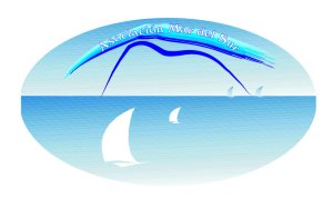 LOGO MAR SUR