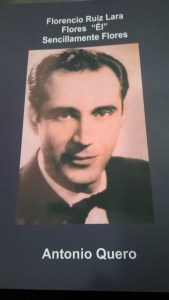 WP_20151205_21_03_29_Pro