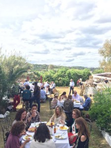 coleta cervantes COUS COUS