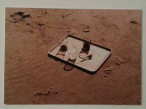 14463826_1017222041709704_618726799_n